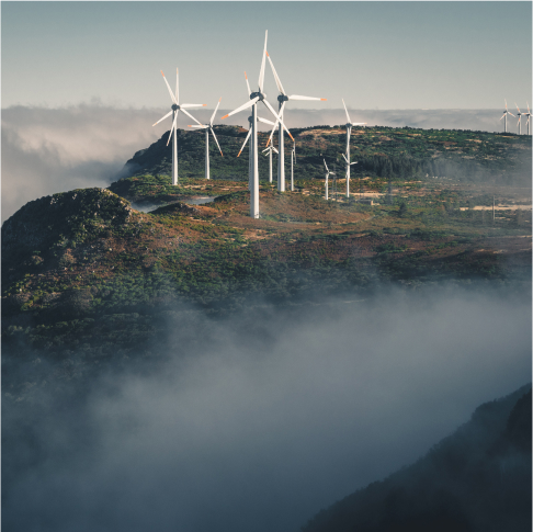 What is Eco Solutions?