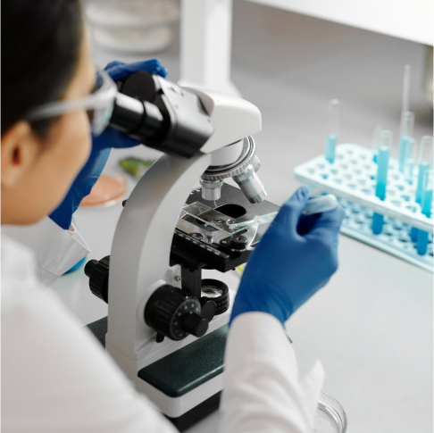 What is Technology Solutions?